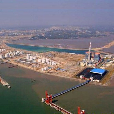 钦州保税港区2015年木材进口创新高