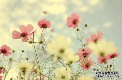 服装店开店赚钱的经验之谈